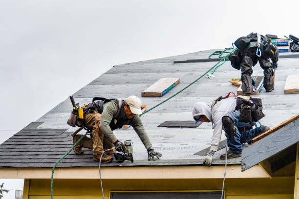 Professional Roofing technician working in Trevett, ME